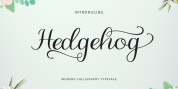 Hedgehog font download