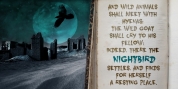 Nightbird font download