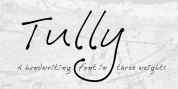 Tully font download