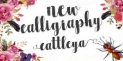 Cattleya Script font download