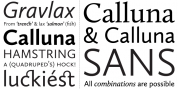 Calluna Sans font download
