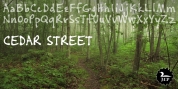 Cedar Street font download