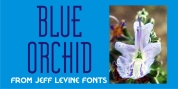 Blue Orchid JNL font download