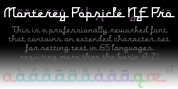 Monterey Popsicle NF Pro font download