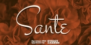 Sante Pro font download