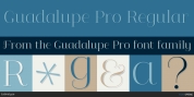 Guadalupe Pro font download