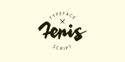 Feris Script font download