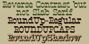 RoundUp font download