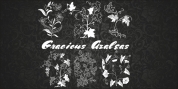 Gracious Azaleas font download