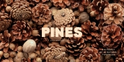 Pines font download