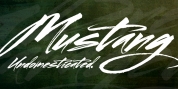 Mustang font download