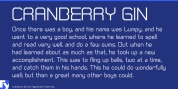 Cranberry Gin font download