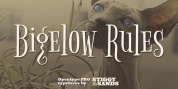 Bigelow Rules Pro font download