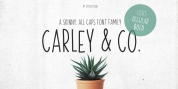 Carley Co font download