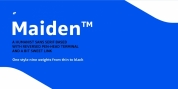 Maiden font download