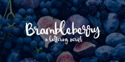 Brambleberry font download