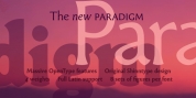 Paradigm Pro font download
