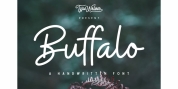 Buffalo font download