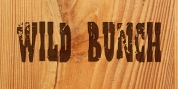 Wild Bunch font download