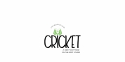 Cricket font download