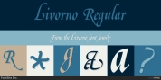 Livorno font download