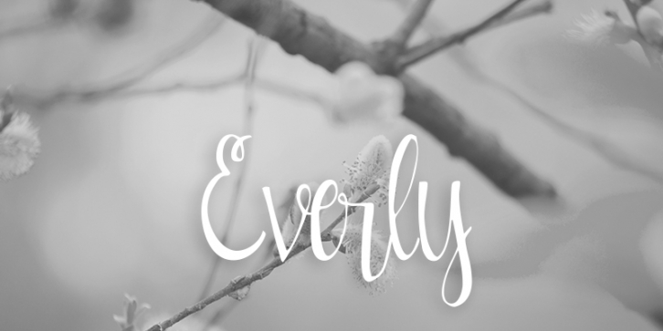 Everly font preview