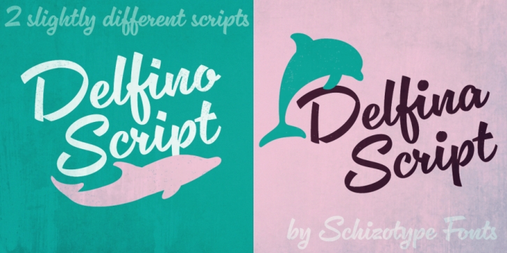 Delfino & Delfina Script font preview