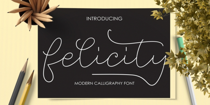 Felicity Script font preview