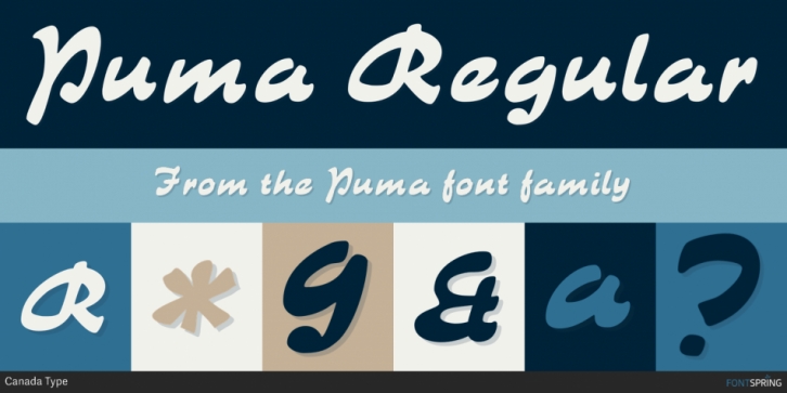 Puma font preview