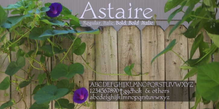 Astaire Pro font preview