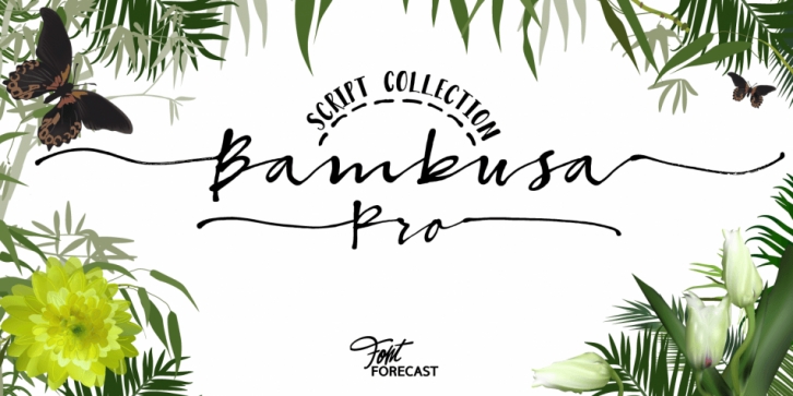 Bambusa Pro font preview