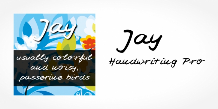 Jay Handwriting Pro font preview