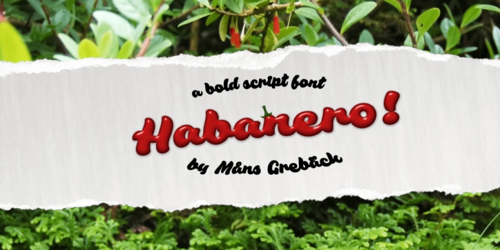 Habanero font preview