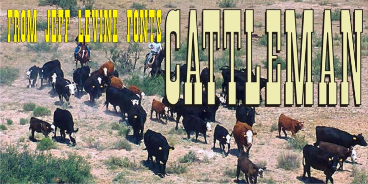 Cattleman JNL font preview