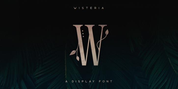Wisteria font preview
