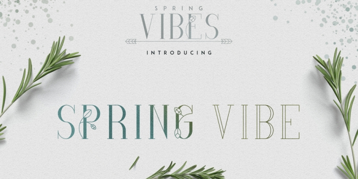 Spring Vibes Serif font preview