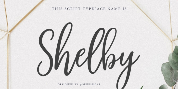 Shelby Script font preview