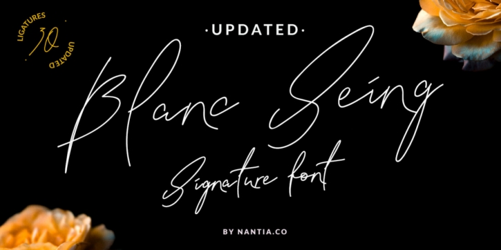 NF-Blanc Seing font preview