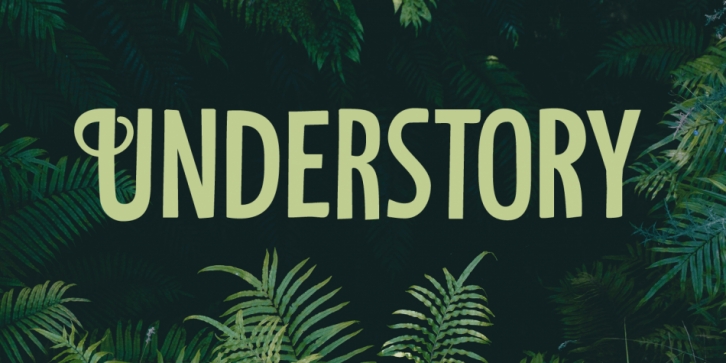 Understory font preview