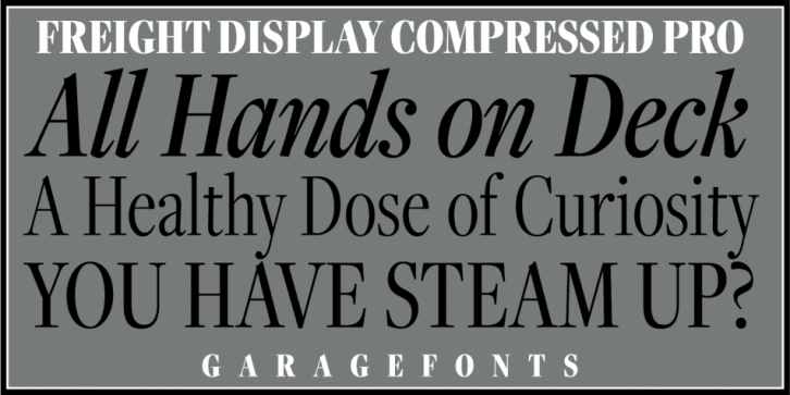 Freight Display Compressed Pro font preview