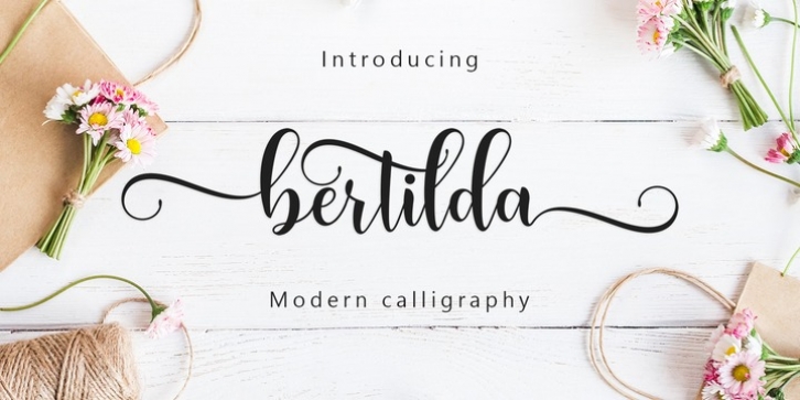 Bertilda Script font preview