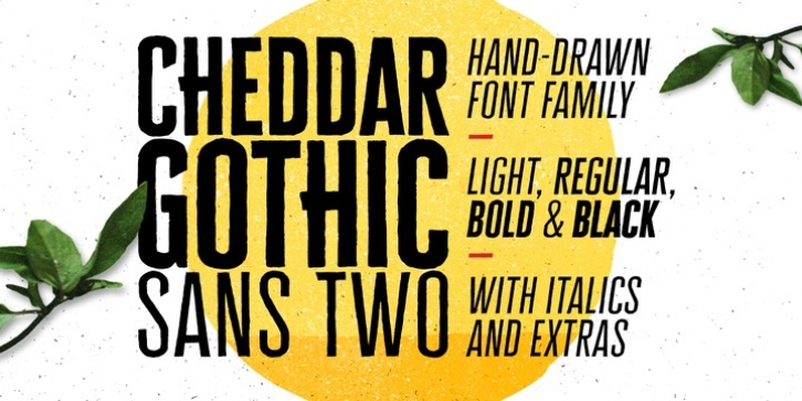 Cheddar Gothic Sans Two font preview