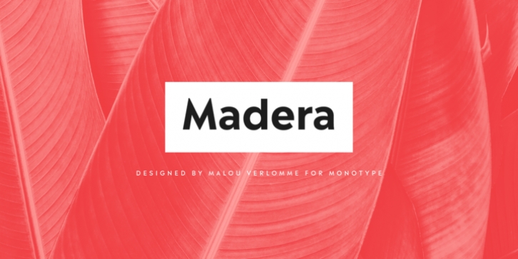 Madera font preview