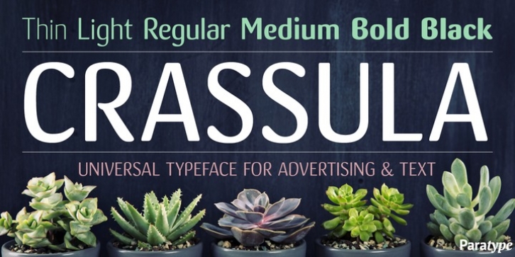 Crassula font preview