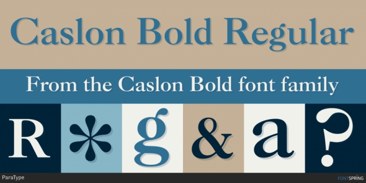 Caslon Bold font preview