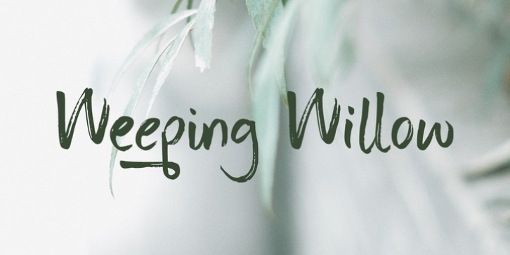 Weeping Willow font preview
