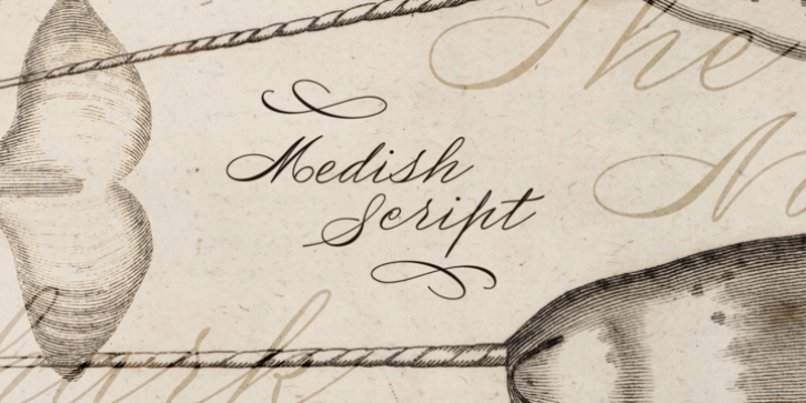 Medish Script font preview