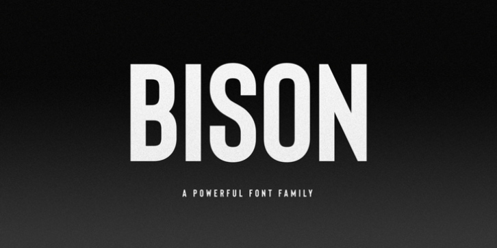 Bison font preview