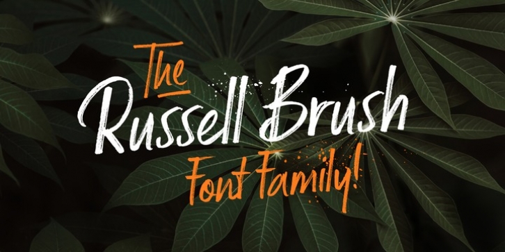Russell Brush font preview