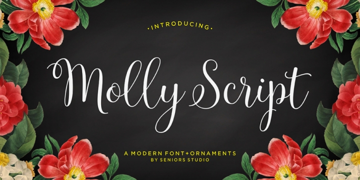 Molly Script font preview